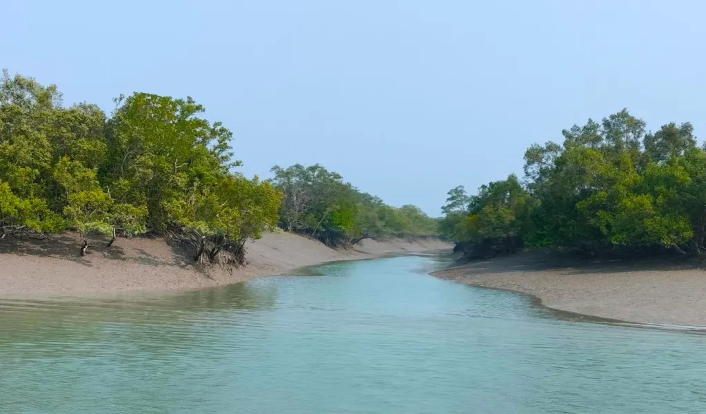 Sundarbans Tour 1 Night 2 Days