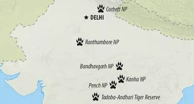 Indian Tiger Tours 14 Days