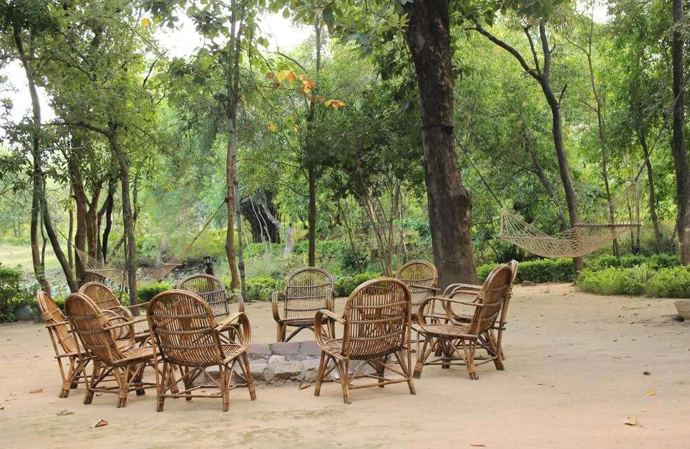 Bandhavgarh National Park Tour Bandhavgarh National Park Tour