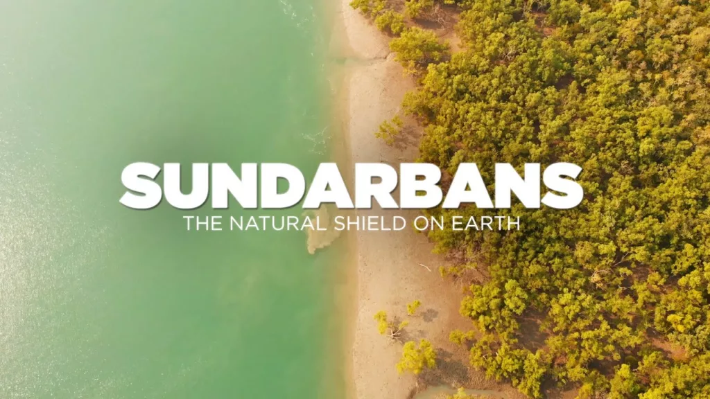 Top Things to Do in Sundarban National Park & Best Places to Explore