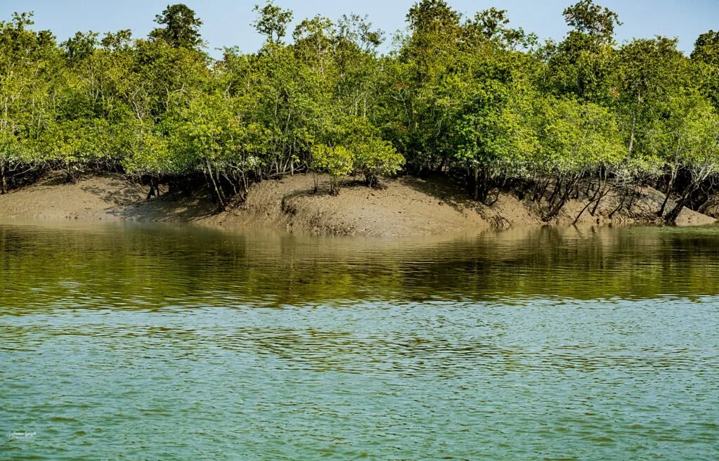 Sundarban 4 Night 5 Days