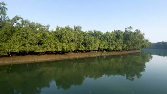 Bangladesh Sundarban Tour
