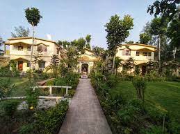 Hotels & Resorts in Sunderban 