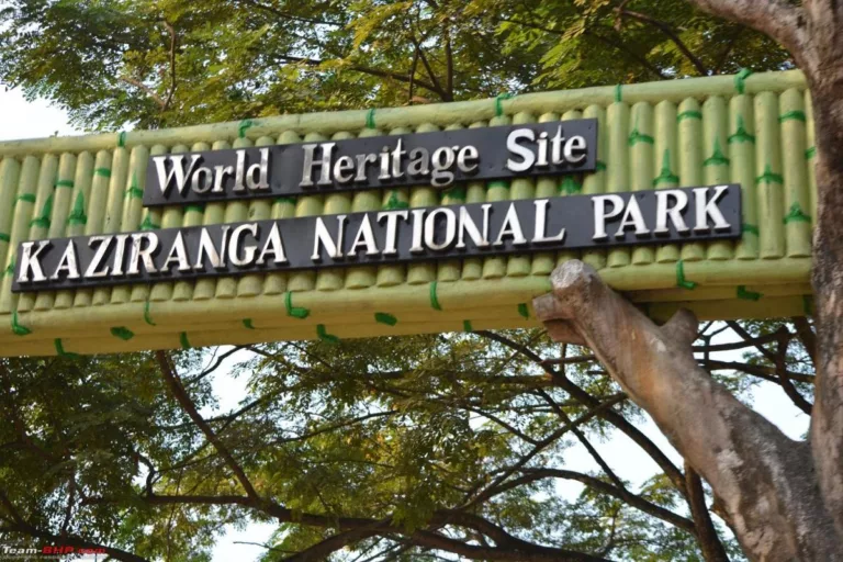 About Kaziranga National Park