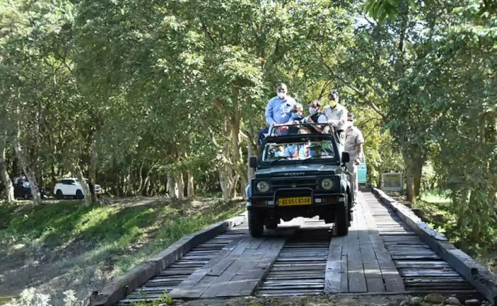 Kaziranga National Park Tour 