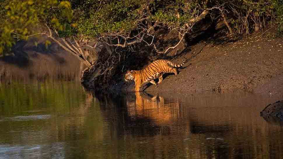 Sundarban 4 Night 5 Days
