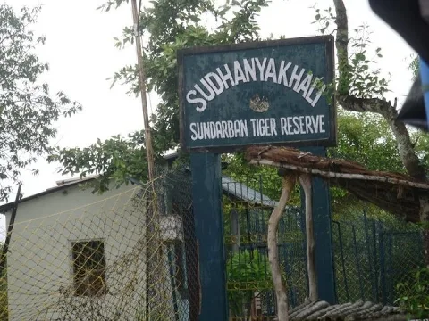 About Sunderbans National Park