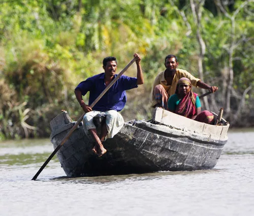 Conservation In Sundarban National Park –