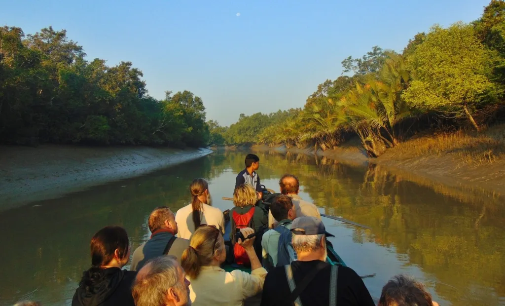 Birding Tours in Sundarbans Tiger Reserve