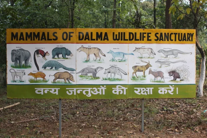 Dalma Wildlife  Sanctuary