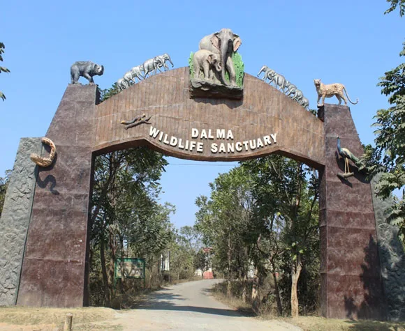 Dalma Wildlife  Sanctuary