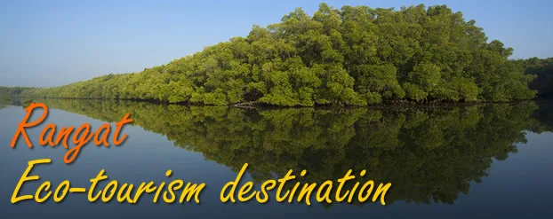 Andaman Birding Tour