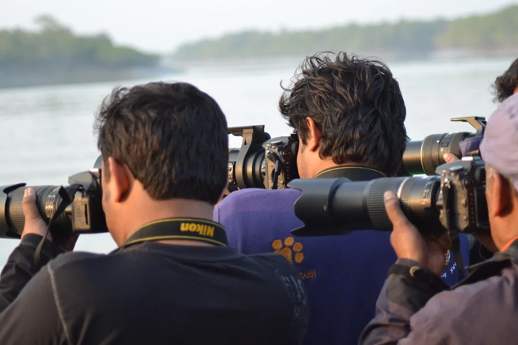Sundarban Birdwatching Tour