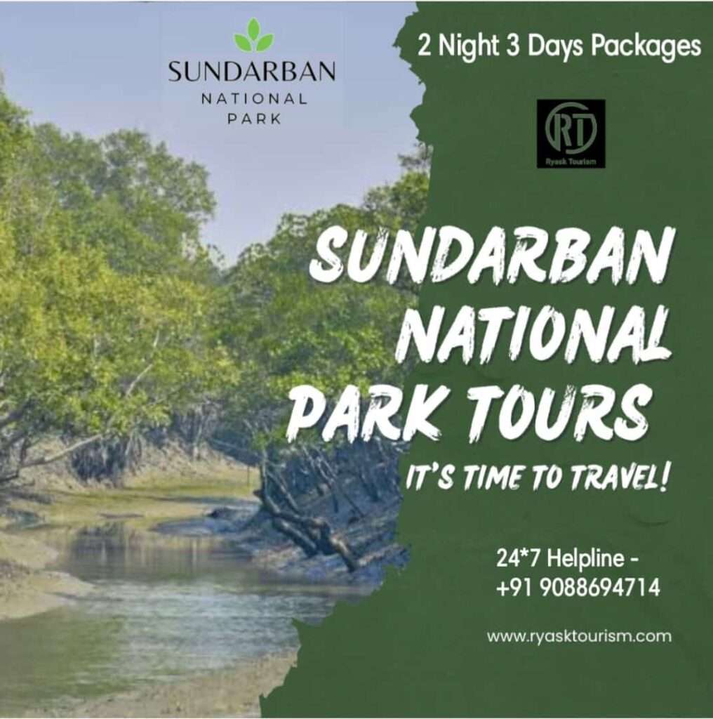 Best Jungle Resort In Sundarban National Park