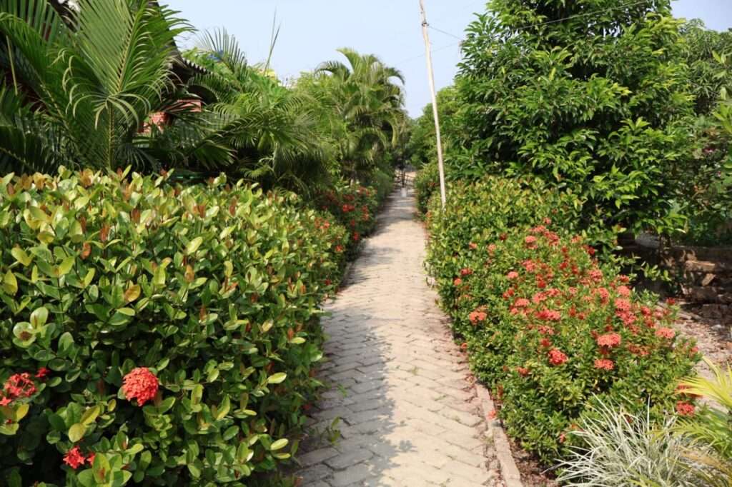 Best Jungle Resort In Sundarban National Park