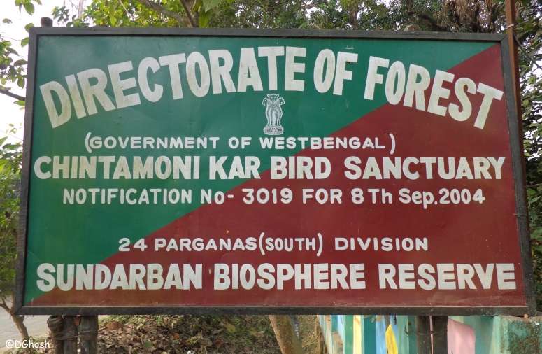 Chintamani Kar Bird sanctuary Kolkata For Birdwatching