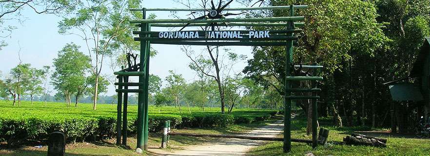 Gorumara National Park Online Safari Booking