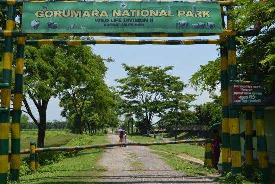 Gorumara National Park: Explore The Wilderness