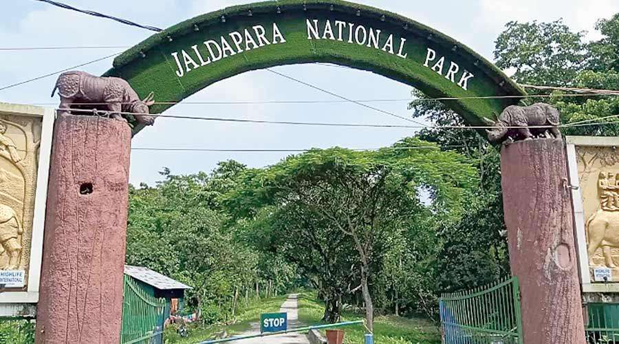 Jaldapara National Park - Wildlife Sanctuary India