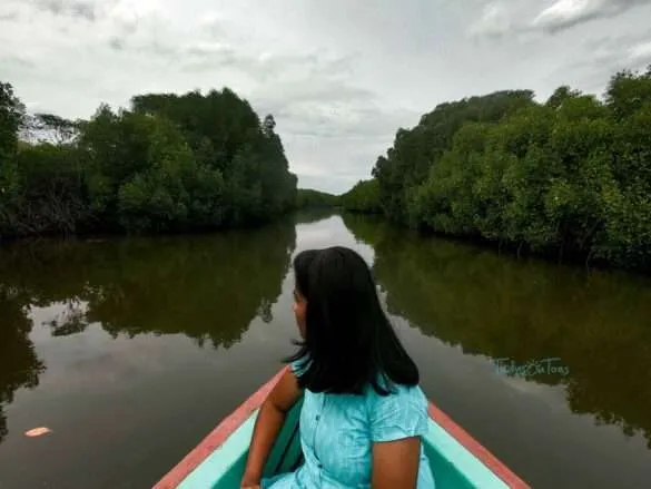 Solo Trip to Sundarban National Park