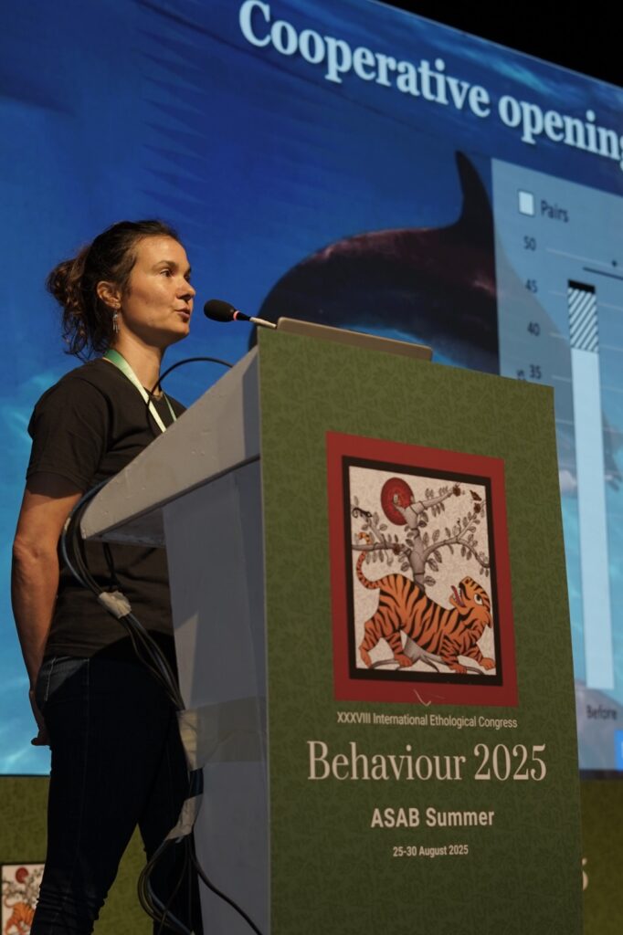 Gangetic Dolphin Safari In India