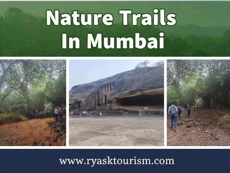 Nature Trails Treak Hiking In Mumbai 