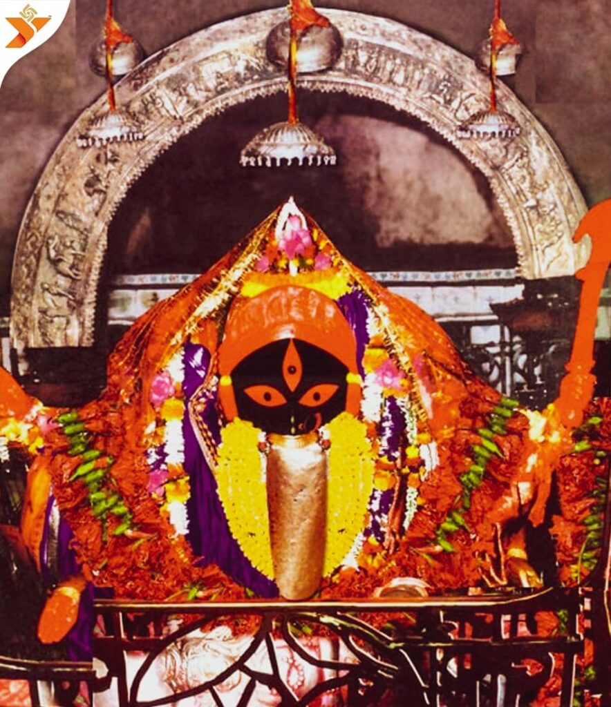 Kali Pujas Tour Of Calcutta Kali Pujas Tour Of Calcutta