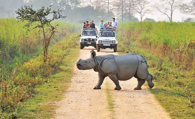 Kaziranga National Park
