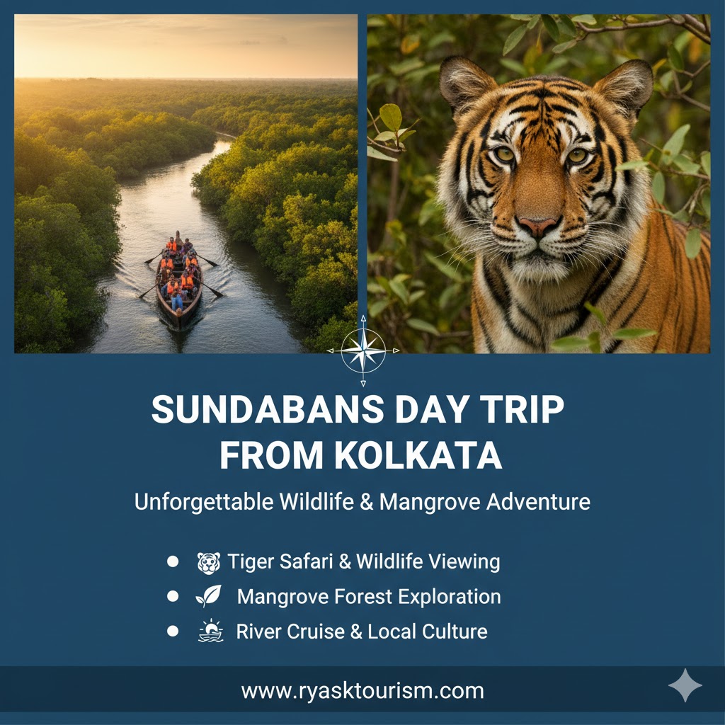 Sundarban 1 One Day Tour From Kolkata