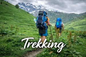 Group of trekkers hiking through lush green mountains with snow-capped peaks in the background.