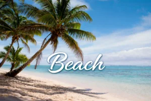 Beach with palm trees and clear blue water, ideal for travel and tourism in Mumbai and Kolkata.
