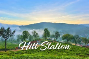 Beautiful hill station landscape with lush greenery and misty mountains, ideal for travel and touris.