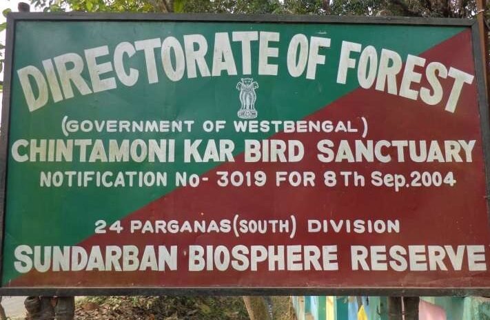 Chintamani Kar Bird Sanctuary Kolkata For Birdwatching